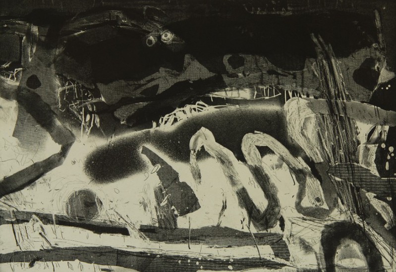 Everything is | etching, aquatint, soft ground, drypoint | 64×94cm | 2015